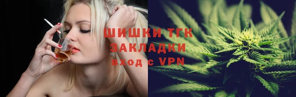 дживик Абинск