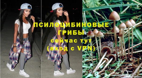 СК Алексеевка